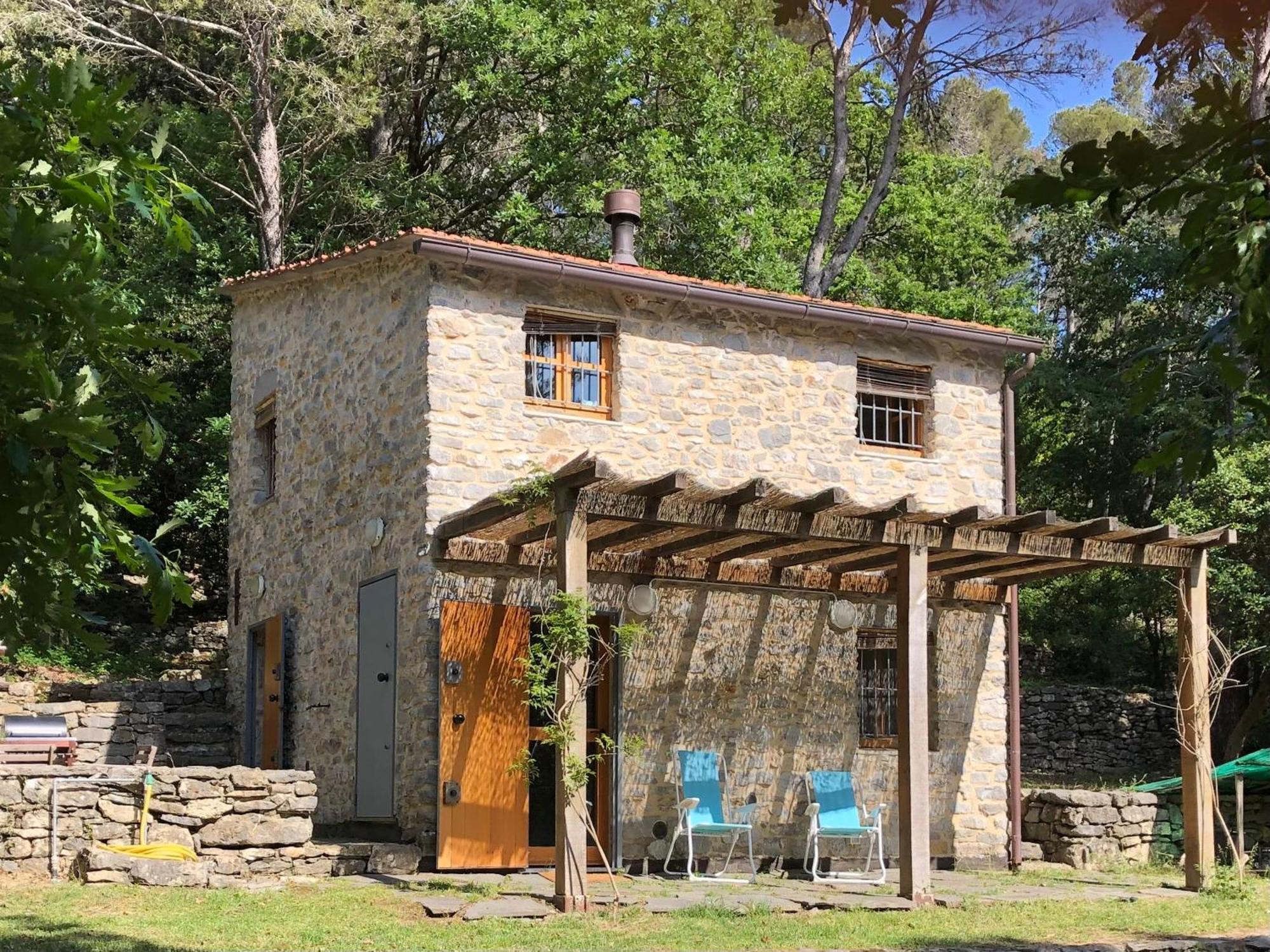 Cipressi In Ameglia * Zanego